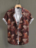 Brown-XXL
